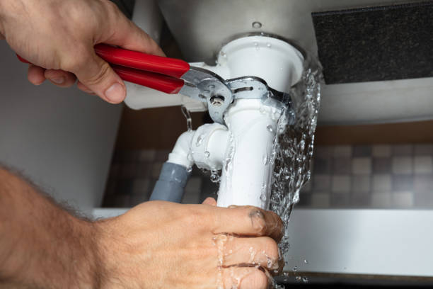 Best Flood restoration services  in Richmond Heights, FL
