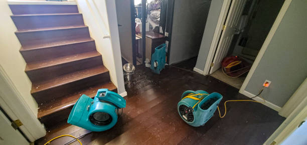 Best Residential water damage restoration  in Richmond Heights, FL