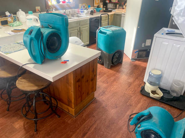 Best Basement water damage restoration  in Richmond Heights, FL