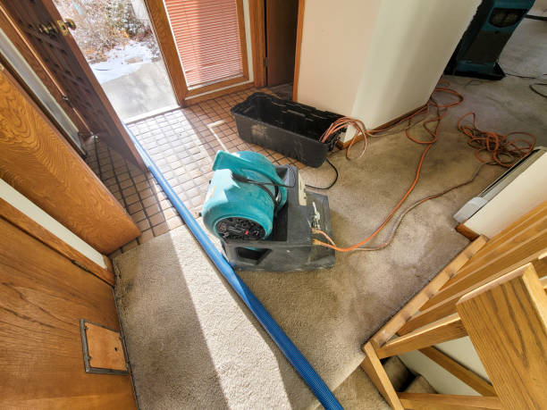 Best Water damage restoration company  in Richmond Heights, FL