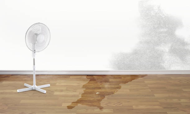 Best Water damage restoration near me  in Richmond Heights, FL