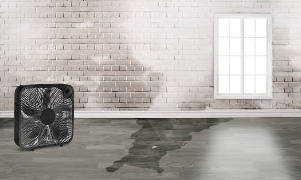 Water damage restoration insurance claims in Richmond Heights, FL